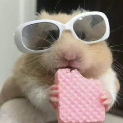 jokerlove755's profile picture. 