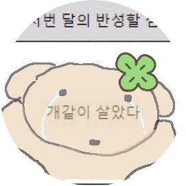 chameowmeowmi's profile picture. 