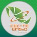 CECyTE Coahuila (@cecytecoahuila) Twitter profile photo CECyTE Coahuila (@cecytecoahuila) Twitter profile photo