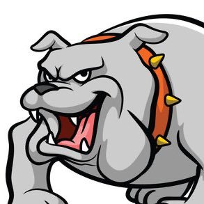 VacaNoVacaSi's profile picture. Jay