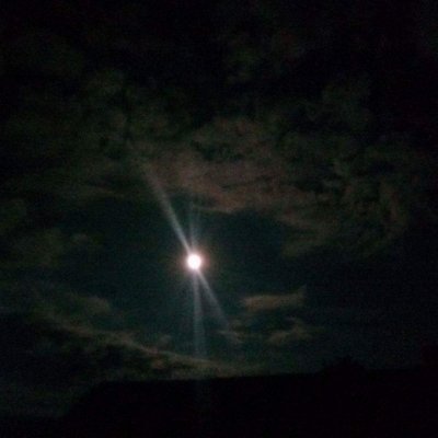 RippiSpok's profile picture. 