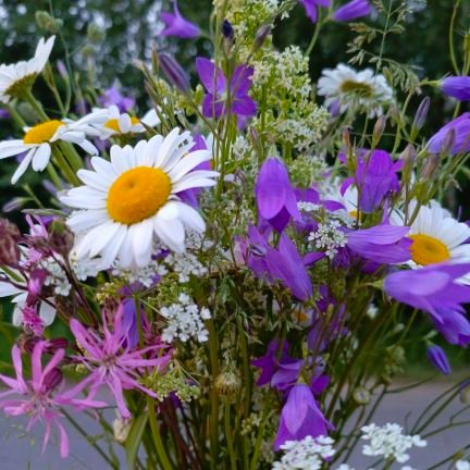 Nina1797242's profile picture. Кухарю у Мартена....немного управляю...