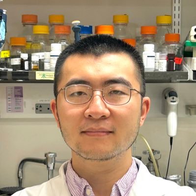 Xupeng Hong Profile