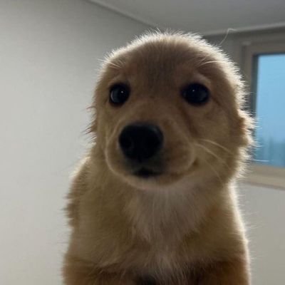 pvppydoll's profile picture. any prns | 21