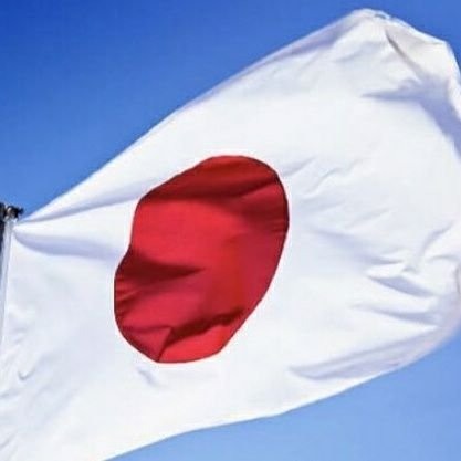 #anonymous 活動団体アカバナ隊公式 有栖川すばる
2025.2 日本兵遺骨奪還国民草の根会【Return to project SAKURA】結成