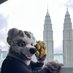 Stepnoob 🇹🇭🇳🇿 🔜 INFURNITY 🇹🇼 / FURUM 🇲🇾 (@illudonite) Twitter profile photo Stepnoob 🇹🇭🇳🇿 🔜 INFURNITY 🇹🇼 / FURUM 🇲🇾 (@illudonite) Twitter profile photo