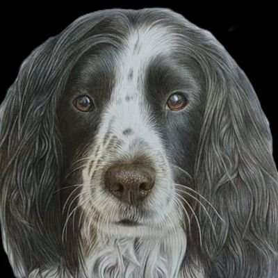 ducky1983's profile picture. 