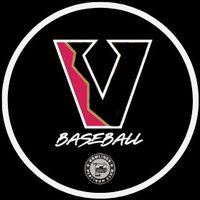 ViperBaseballAcademy (@viperbaseball_) 's Twitter Profile