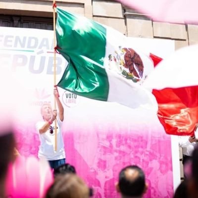 Promotora del Voto 2024 VS Morena y Aliados !
#MexicoHaciendoCiudadania