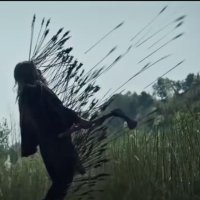 Bo (@david95245179) 's Twitter Profile