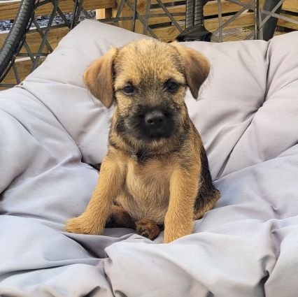 EllieAnneWalker's profile picture. Vascular Scientist NHS, all views are my own