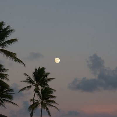 1200. 12.21.20.*trippy. 3iAtlas is following the structure. DEV@BarneyBay.com. FIXT is bad for your health. Find nature.