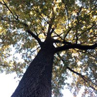 am.i.olala (@am_olala) 's Twitter Profile