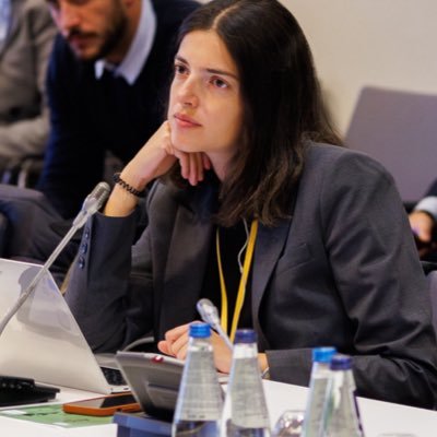 External Relations Professional with an experience in International Affairs, Foreign Policy Analysis and additional expertise in Labor and Employment Policy