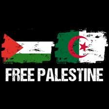 MrY93230's profile picture. 