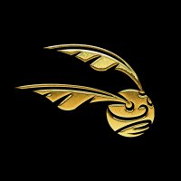 Harry Potter: Quidditch Champions (@quidditchgame) 's Twitter Profile Photo Harry Potter: Quidditch Champions (@quidditchgame) 's Twitter Profile Photo
