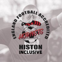 Histon Hornets Inclusive (@histoninclusive) 's Twitter Profile