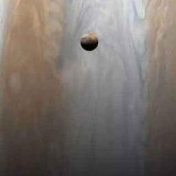 gooberdieck's profile picture. ml