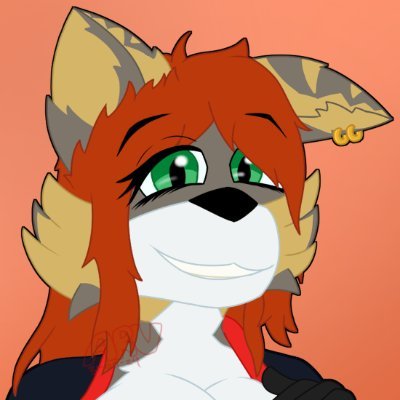 YcaroFoxさんのプロフィール画像