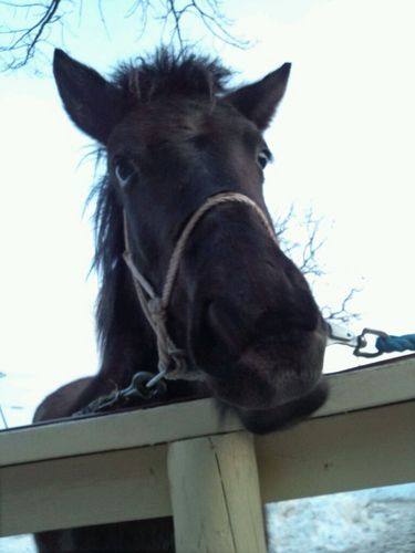 競馬にする？お酒にする？