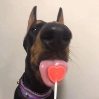Natálie (@natsodomkova) 's Twitter Profile