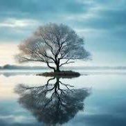 eIgeNeSt's profile picture. 