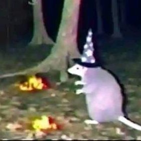 ElDips125's profile picture. Sal de aquí a menos que me traigas unas papas.