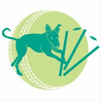 Wicket Whippets Cricket Club (@wicketwhipcc) Twitter profile photo