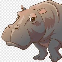 hippo (@eirenechr) 's Twitter Profile Photo hippo (@eirenechr) 's Twitter Profile Photo