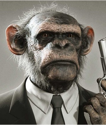 gorichango's profile picture. 