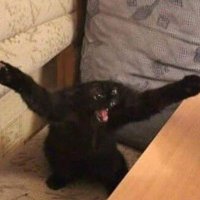 Kevin (@incroyablekk) 's Twitter Profile