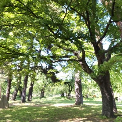 52mkh's profile picture. 自閉症・重度知的障がいの子を持つ親
日々迷いながら子育て中