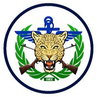 Armée Congolaise - FARDC (@fardc_info) 's Twitter Profile