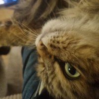 Kryptobesten (@kryptobesten) 's Twitter Profile