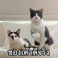 💙N💙 (@7_nnnnnn) 's Twitter Profile