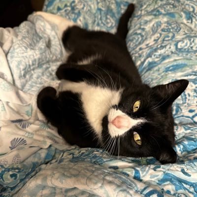 LHermance51426's profile picture. 