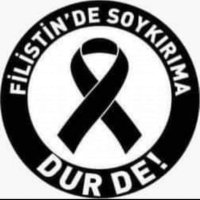 MEHMET BÜLBÜL (@mbulbulmbulbul) 's Twitter Profile