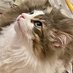 Tuna🐈‍⬛ (@yuz500) Twitter profile photo