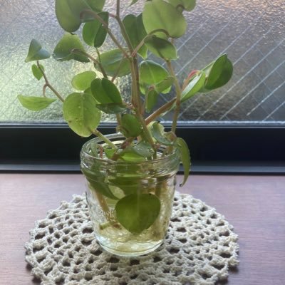 iBkP73604's profile picture. radio LiveからOfficial 髭男dismの素晴らしさに触れ、w会員に。 少しずつ知っていけたらと思っています。 不慣れの為失礼がありましたら、すみません🌱無言フォロー、いいね、失礼致します☘️