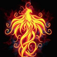 A narrator entity (@km0749570482452) 's Twitter Profile