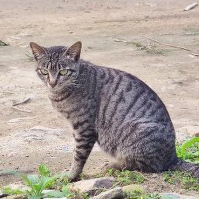 Suncat411842's profile picture. 