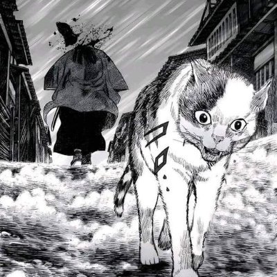 ninelivesphotos's profile picture. Freelance Photographer