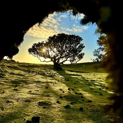 Paul__Daniel's profile picture. 