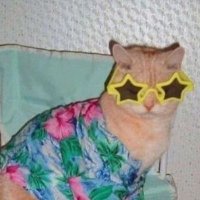 n (@nhobbs6592) 's Twitter Profile
