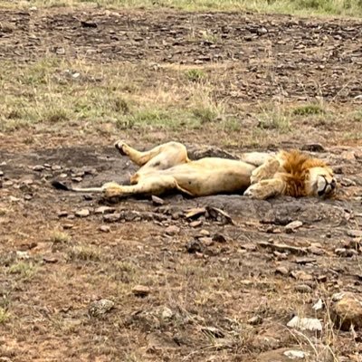 DustinIvie82222's profile picture. 