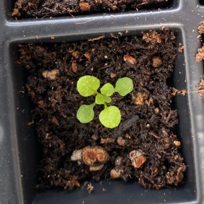 classy_biss's profile picture. 