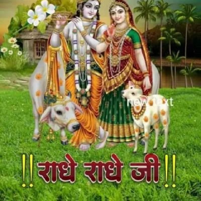 RosniRajpurohit's profile picture. 