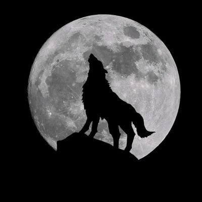 FAmine56033's profile picture. 
