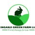 Inganji Green Farm (IGF) Ltd (@inganjigreen) Twitter profile photo Inganji Green Farm (IGF) Ltd (@inganjigreen) Twitter profile photo