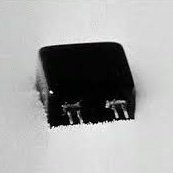 mingmecha's profile picture. observeillant 🥽 distributed memories